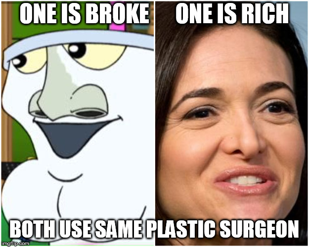 Master Shake Sheryl Sandberg | ONE IS BROKE      ONE IS RICH; BOTH USE SAME PLASTIC SURGEON | image tagged in sherylsandberg,mastershake,aquateenhungerforcevsfacebook | made w/ Imgflip meme maker