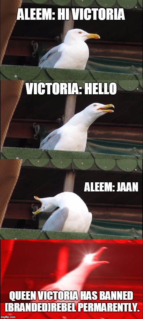 Inhaling Seagull | ALEEM:
HI VICTORIA; VICTORIA:
HELLO; ALEEM: JAAN; QUEEN VICTORIA HAS BANNED [BRANDED]REBEL PERMARENTLY. | image tagged in memes,inhaling seagull | made w/ Imgflip meme maker