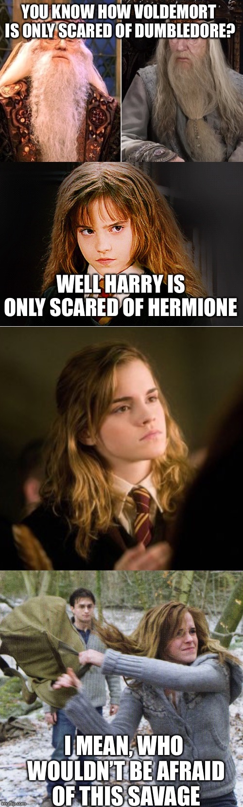 YOU KNOW HOW VOLDEMORT IS ONLY SCARED OF DUMBLEDORE? WELL HARRY IS ONLY SCARED OF HERMIONE; I MEAN, WHO WOULDN’T BE AFRAID OF THIS SAVAGE | made w/ Imgflip meme maker