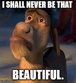 sad donkey | I SHALL NEVER BE THAT BEAUTIFUL. | image tagged in sad donkey | made w/ Imgflip meme maker