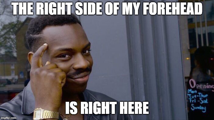 Roll Safe Think About It | THE RIGHT SIDE OF MY FOREHEAD; IS RIGHT HERE | image tagged in memes,roll safe think about it | made w/ Imgflip meme maker
