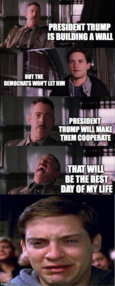 When Trump works with Democrats | PRESIDENT TRUMP IS BUILDING A WALL; BUT THE DEMOCRATS WON'T LET HIM; PRESIDENT TRUMP WILL MAKE THEM COOPERATE; THAT WILL BE THE BEST DAY OF MY LIFE | image tagged in memes,peter parker cry | made w/ Imgflip meme maker