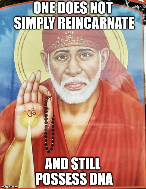 one does not simply Hindu | ONE DOES NOT SIMPLY REINCARNATE AND STILL POSSESS DNA | image tagged in one does not simply hindu | made w/ Imgflip meme maker