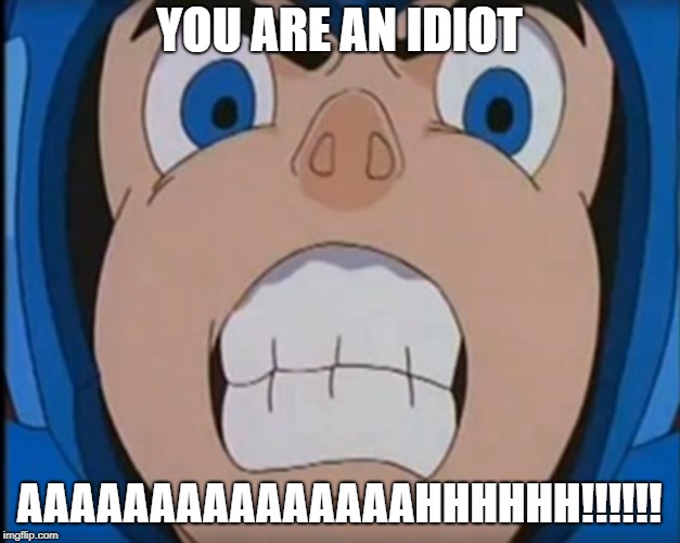 I'm Mad | YOU ARE AN IDIOT; AAAAAAAAAAAAAAAHHHHHH!!!!!! | image tagged in megaman,capcom,angry,rage | made w/ Imgflip meme maker