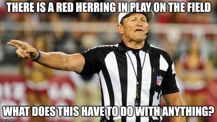 Logical Fallacy Referee | THERE IS A RED HERRING IN PLAY ON THE FIELD; WHAT DOES THIS HAVE TO DO WITH ANYTHING? | image tagged in logical fallacy referee | made w/ Imgflip meme maker