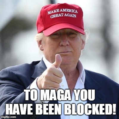 Maxine Waters | TO MAGA YOU HAVE BEEN BLOCKED! | image tagged in maxine waters | made w/ Imgflip meme maker