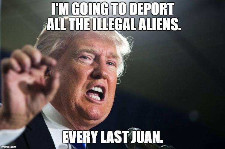 donald trump | I'M GOING TO DEPORT ALL THE ILLEGAL ALIENS. EVERY LAST JUAN. | image tagged in donald trump | made w/ Imgflip meme maker