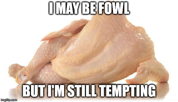 sexy chicken | I MAY BE FOWL; BUT I'M STILL TEMPTING | image tagged in sexy chicken | made w/ Imgflip meme maker