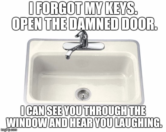 I FORGOT MY KEYS. OPEN THE DAMNED DOOR. I CAN SEE YOU THROUGH THE WINDOW AND HEAR YOU LAUGHING. | made w/ Imgflip meme maker
