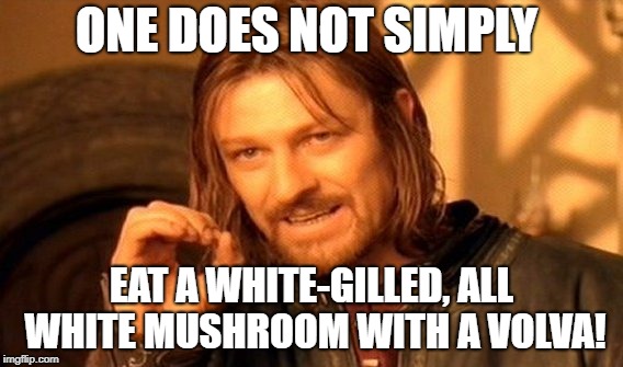 all while volva | ONE DOES NOT SIMPLY; EAT A WHITE-GILLED, ALL WHITE MUSHROOM WITH A VOLVA! | image tagged in memes,one does not simply | made w/ Imgflip meme maker