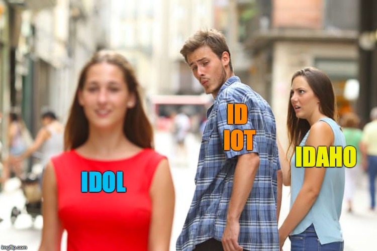 Distracted Boyfriend | ID     IOT; IDAHO; IDOL | image tagged in memes,distracted boyfriend | made w/ Imgflip meme maker