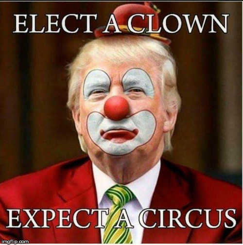 image tagged in trump elect a clown | made w/ Imgflip meme maker