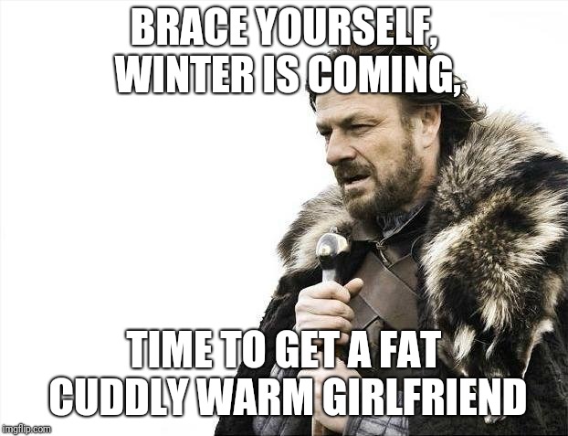 Skinny girls aren't so warm and cuddly | BRACE YOURSELF, WINTER IS COMING, TIME TO GET A FAT CUDDLY WARM GIRLFRIEND | image tagged in memes,brace yourselves x is coming,cuddling,warm | made w/ Imgflip meme maker
