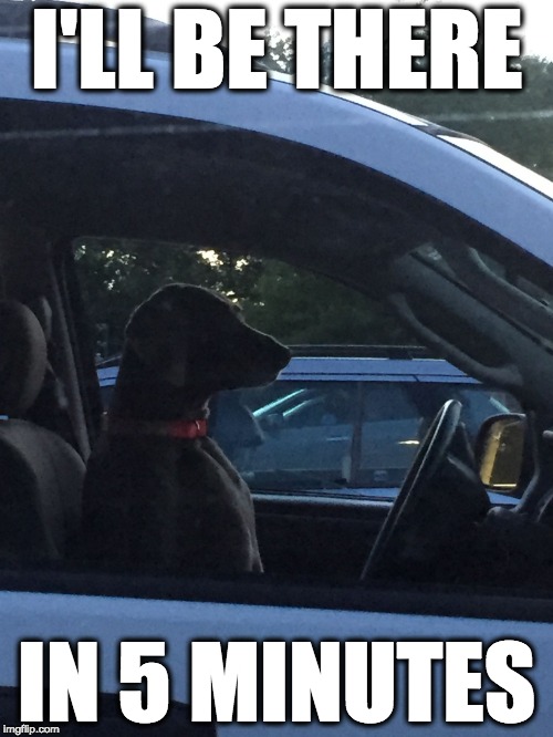 Traffic Dog | I'LL BE THERE; IN 5 MINUTES | image tagged in traffic dog | made w/ Imgflip meme maker