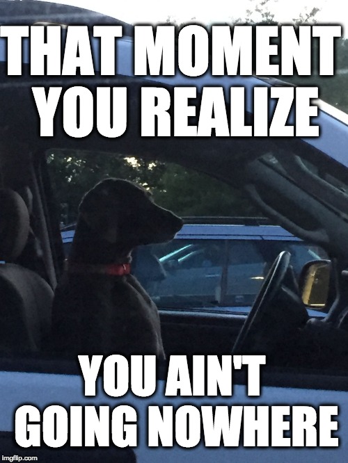 Traffic Dog | THAT MOMENT YOU REALIZE; YOU AIN'T GOING NOWHERE | image tagged in traffic dog | made w/ Imgflip meme maker