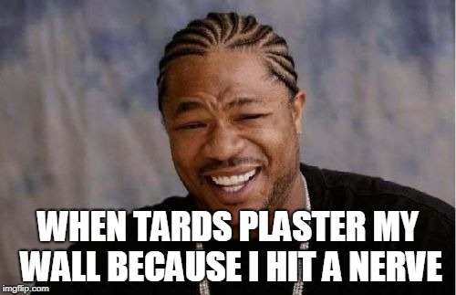 Yo Dawg Heard You Meme | WHEN TARDS PLASTER MY WALL BECAUSE I HIT A NERVE | image tagged in memes,yo dawg heard you | made w/ Imgflip meme maker