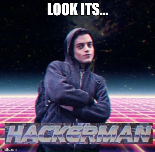HackerMan | LOOK ITS... | image tagged in hackerman | made w/ Imgflip meme maker