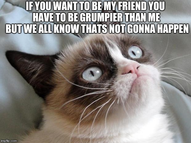 Grumpy cat | IF YOU WANT TO BE MY FRIEND
YOU HAVE TO BE GRUMPIER THAN ME 
BUT WE ALL KNOW THATS NOT GONNA HAPPEN | image tagged in grumpy cat | made w/ Imgflip meme maker