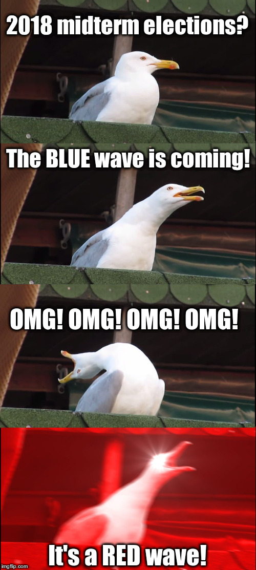 Midterm Elections | 2018 midterm elections? The BLUE wave is coming! OMG! OMG! OMG! OMG! It's a RED wave! | image tagged in seagull,democrats,republicans,trump | made w/ Imgflip meme maker