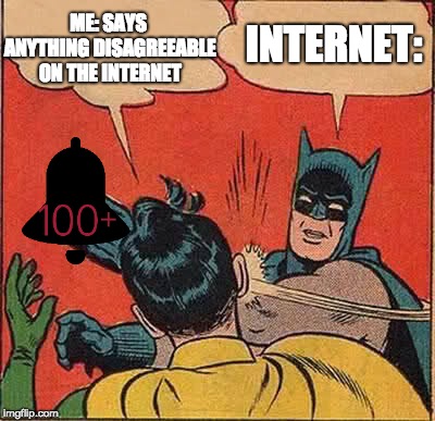 Batman Slapping Robin Meme | ME: SAYS ANYTHING DISAGREEABLE ON THE INTERNET; INTERNET: | image tagged in memes,batman slapping robin | made w/ Imgflip meme maker