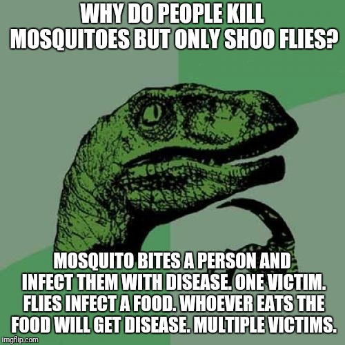 Kill mosquito? | WHY DO PEOPLE KILL MOSQUITOES BUT ONLY SHOO FLIES? MOSQUITO BITES A PERSON AND INFECT THEM WITH DISEASE. ONE VICTIM. FLIES INFECT A FOOD. WHOEVER EATS THE FOOD WILL GET DISEASE. MULTIPLE VICTIMS. | image tagged in memes,philosoraptor,flies,mosquito | made w/ Imgflip meme maker
