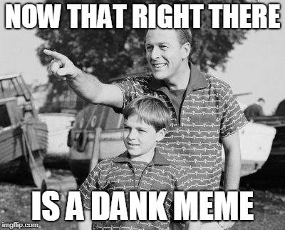 Look Son Meme | NOW THAT RIGHT THERE IS A DANK MEME | image tagged in memes,look son | made w/ Imgflip meme maker