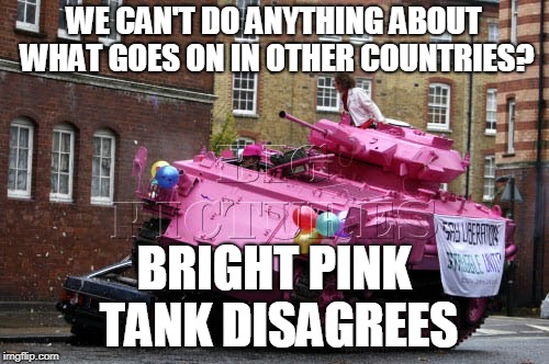 WE CAN'T DO ANYTHING ABOUT WHAT GOES ON IN OTHER COUNTRIES? BRIGHT PINK TANK DISAGREES | made w/ Imgflip meme maker