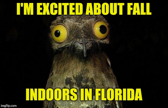 Weird Stuff I Do Potoo Meme | I'M EXCITED ABOUT FALL; INDOORS IN FLORIDA | image tagged in memes,weird stuff i do potoo | made w/ Imgflip meme maker