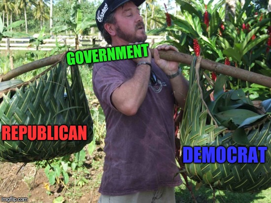 Break the yoke | GOVERNMENT; REPUBLICAN; DEMOCRAT | image tagged in libertarianism,duopoly,tyranny,vote,election day,libertarian | made w/ Imgflip meme maker