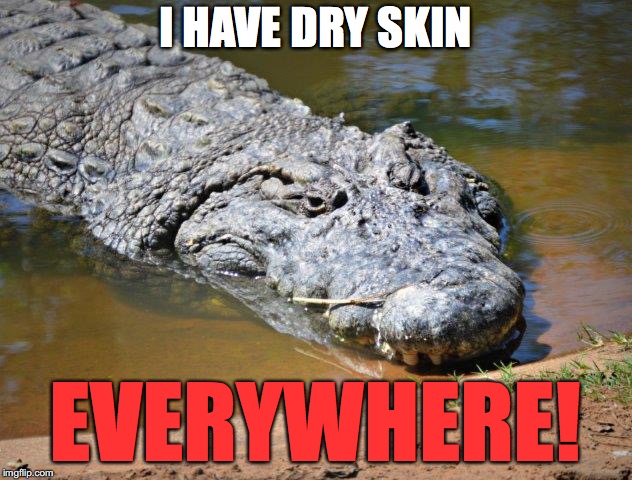 Crocodile | I HAVE DRY SKIN; EVERYWHERE! | image tagged in crocodile | made w/ Imgflip meme maker