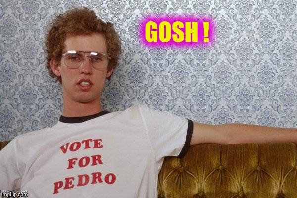 Napolean Dynamite | GOSH ! | image tagged in napolean dynamite | made w/ Imgflip meme maker