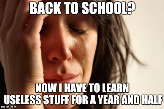 NOW I HAVE TO LEARN USELESS STUFF FOR A YEAR AND HALF image tagged in memes,first world probl...