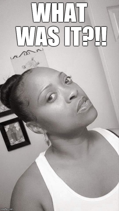 WHAT WAS IT?!! | image tagged in what | made w/ Imgflip meme maker