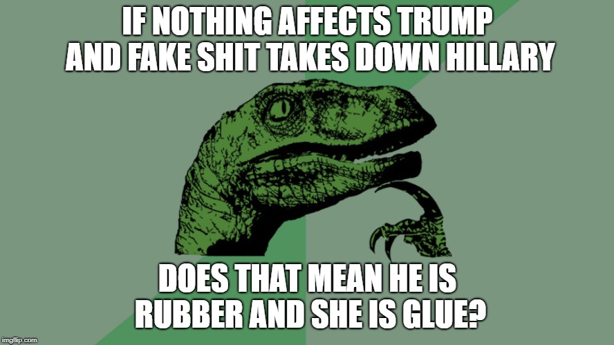 Philosoraptor | IF NOTHING AFFECTS TRUMP AND FAKE SHIT TAKES DOWN HILLARY; DOES THAT MEAN HE IS RUBBER AND SHE IS GLUE? | image tagged in philosoraptor,hillary clinton,donald trump,politics,rubber glue | made w/ Imgflip meme maker