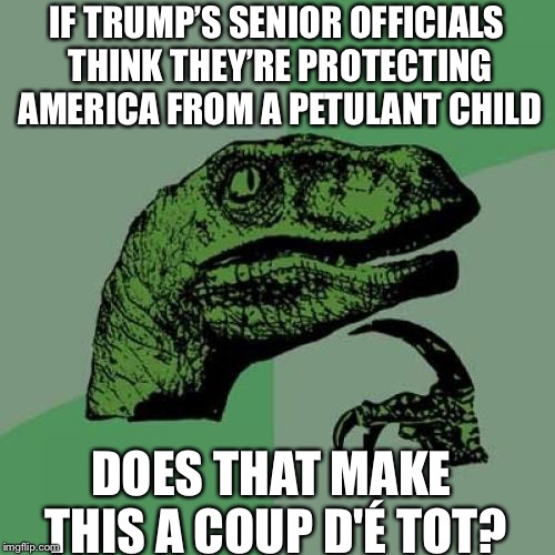 Philosoraptor Meme | IF TRUMP’S SENIOR OFFICIALS THINK THEY’RE PROTECTING AMERICA FROM A PETULANT CHILD; DOES THAT MAKE THIS A COUP D'É TOT? | image tagged in memes,philosoraptor | made w/ Imgflip meme maker