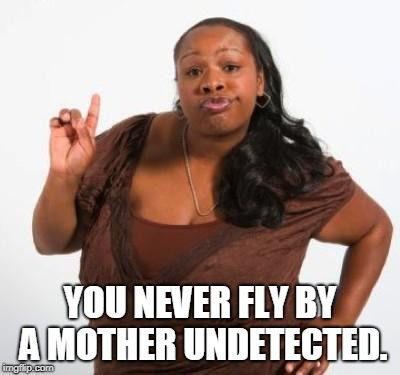 sassy black woman | YOU NEVER FLY BY A MOTHER UNDETECTED. | image tagged in sassy black woman | made w/ Imgflip meme maker