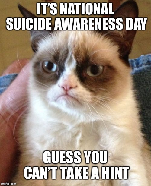 Grumpy Cat Meme | IT’S NATIONAL SUICIDE AWARENESS DAY; GUESS YOU CAN’T TAKE A HINT | image tagged in memes,grumpy cat | made w/ Imgflip meme maker