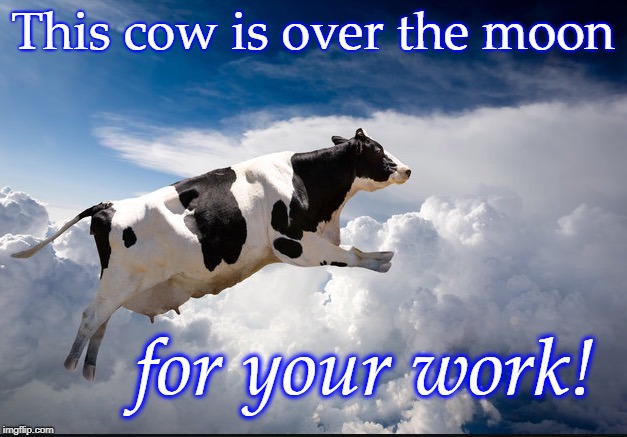 Cow | This cow is over the moon; for your work! | image tagged in cow | made w/ Imgflip meme maker