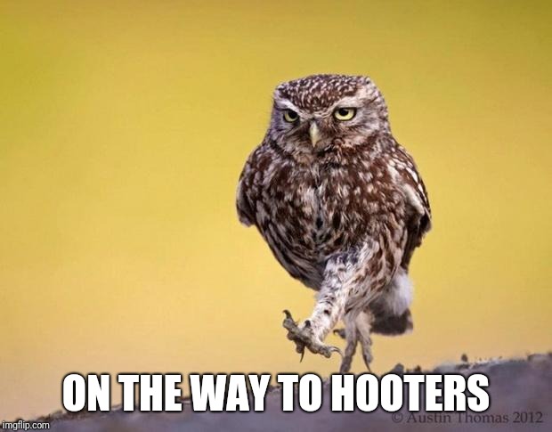 ON THE WAY TO HOOTERS | image tagged in hooters | made w/ Imgflip meme maker