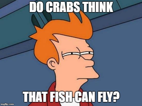 Futurama Fry | DO CRABS THINK; THAT FISH CAN FLY? | image tagged in memes,futurama fry | made w/ Imgflip meme maker