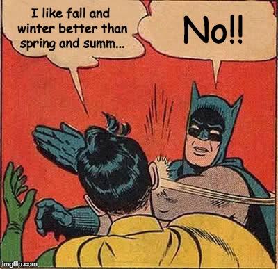 Batman Slapping Robin Meme | I like fall and winter better than spring and summ... No!! | image tagged in memes,batman slapping robin | made w/ Imgflip meme maker
