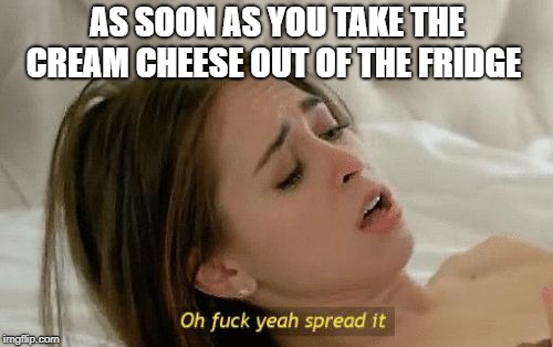 Spread it | AS SOON AS YOU TAKE THE CREAM CHEESE OUT OF THE FRIDGE | image tagged in spread it | made w/ Imgflip meme maker