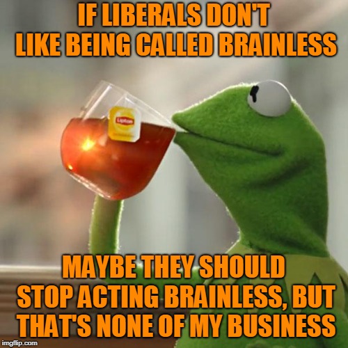 But That's None Of My Business Meme | IF LIBERALS DON'T LIKE BEING CALLED BRAINLESS MAYBE THEY SHOULD STOP ACTING BRAINLESS, BUT THAT'S NONE OF MY BUSINESS | image tagged in memes,but thats none of my business,kermit the frog | made w/ Imgflip meme maker
