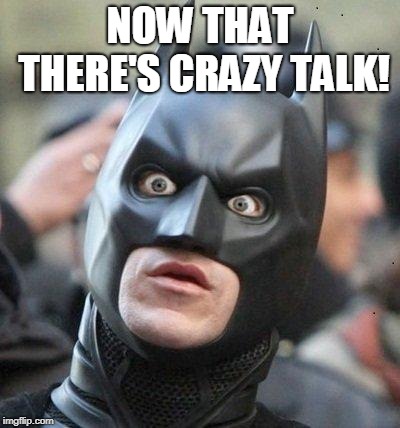 Shocked Batman | NOW THAT THERE'S CRAZY TALK! | image tagged in shocked batman | made w/ Imgflip meme maker