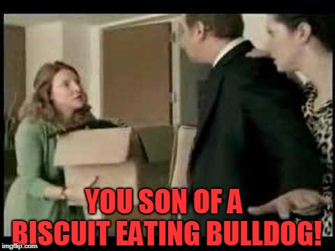 Orbit | YOU SON OF A BISCUIT EATING BULLDOG! | image tagged in orbit | made w/ Imgflip meme maker