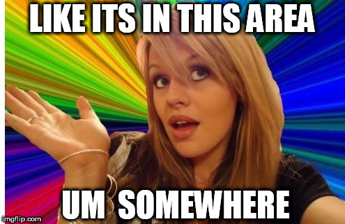 LIKE ITS IN THIS AREA UM  SOMEWHERE | made w/ Imgflip meme maker