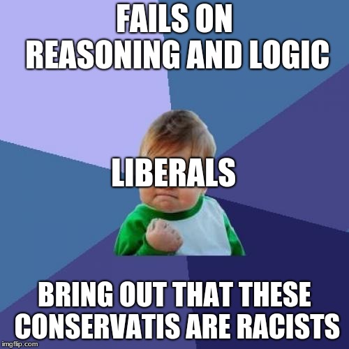 Success Kid | FAILS ON REASONING AND LOGIC; LIBERALS; BRING OUT THAT THESE CONSERVATIS ARE RACISTS | image tagged in memes,success kid | made w/ Imgflip meme maker