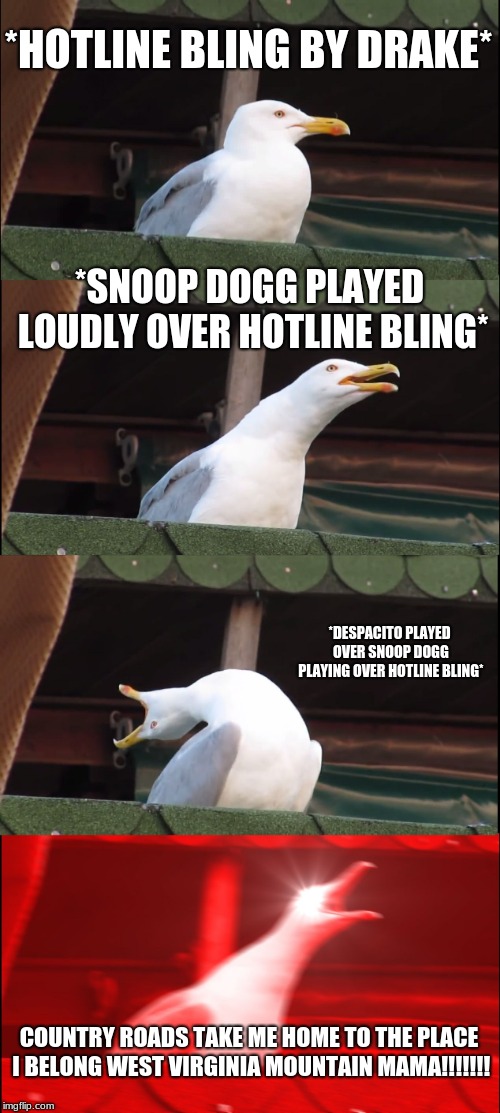 Inhaling Seagull Meme | *HOTLINE BLING BY DRAKE*; *SNOOP DOGG PLAYED LOUDLY OVER HOTLINE BLING*; *DESPACITO PLAYED OVER SNOOP DOGG PLAYING OVER HOTLINE BLING*; COUNTRY ROADS TAKE ME HOME TO THE PLACE I BELONG WEST VIRGINIA MOUNTAIN MAMA!!!!!!! | image tagged in memes,inhaling seagull | made w/ Imgflip meme maker