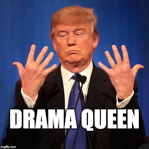 Drama queen DRAMA QUEEN image tagged in donald trump,trump,queen,drama quee...