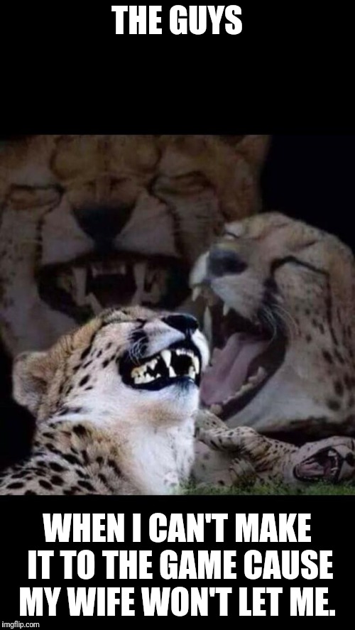 Laughing cheetah  | THE GUYS; WHEN I CAN'T MAKE IT TO THE GAME CAUSE MY WIFE WON'T LET ME. | image tagged in laughing cheetah | made w/ Imgflip meme maker